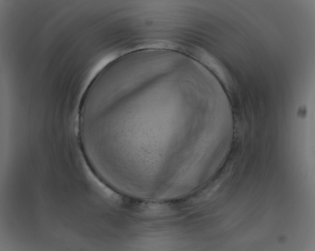 X0000094451095200711211513