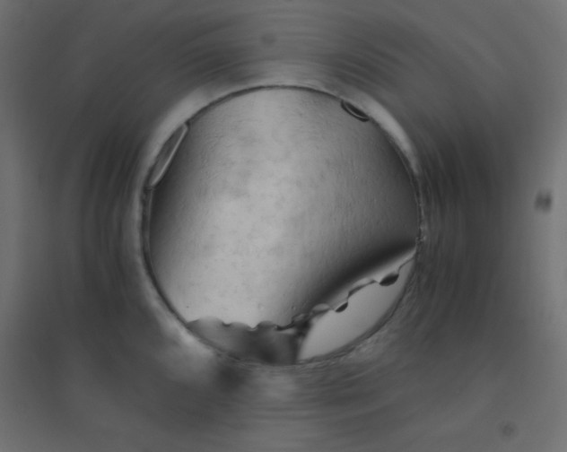 X0000094451096200711211513