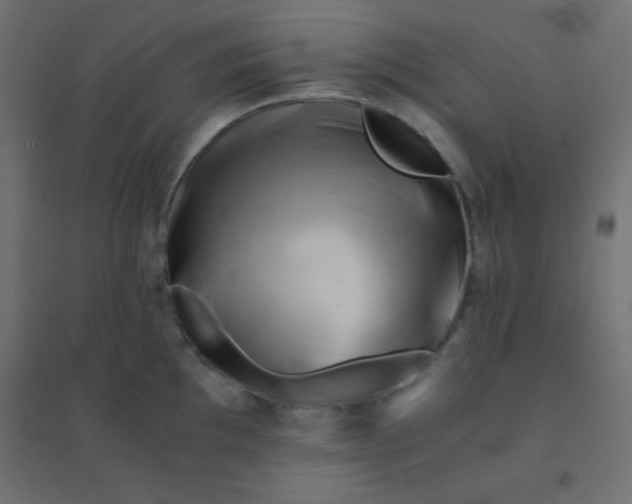 X0000094451097200711211513