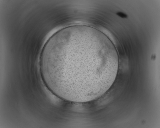 X0000094451098200711211513