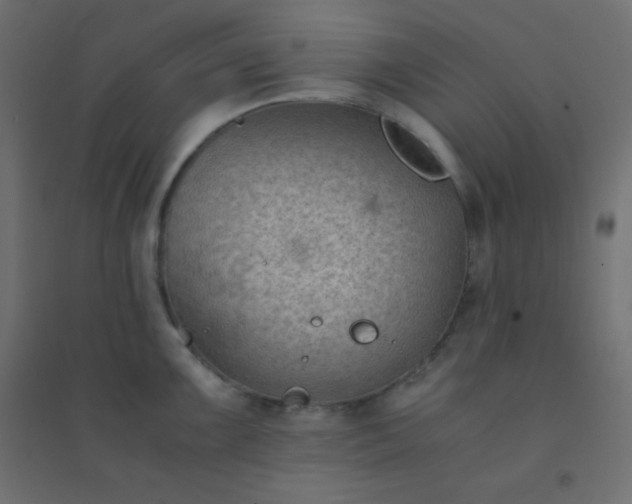 X0000094451099200711211513