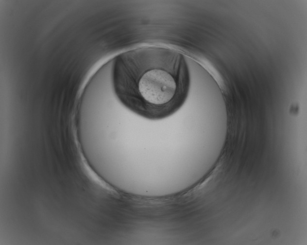 X0000094451100200711211513