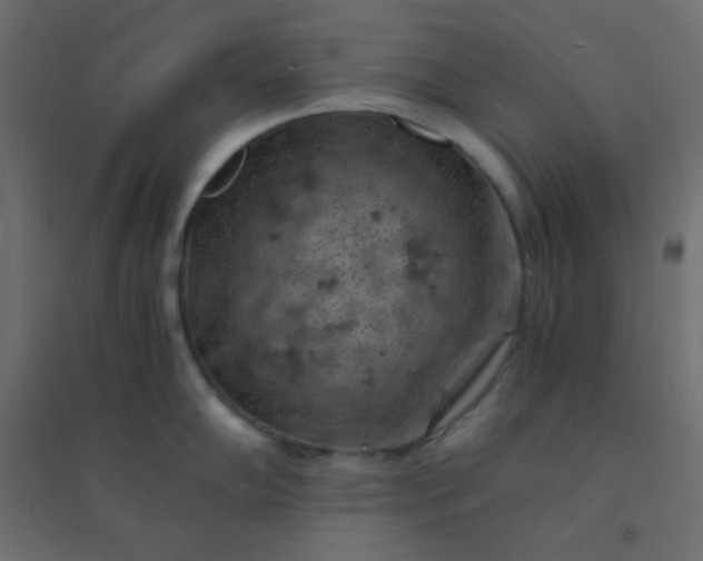 X0000094451102200711211513