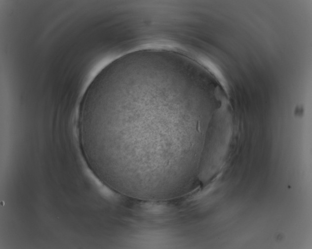 X0000094451103200711211513