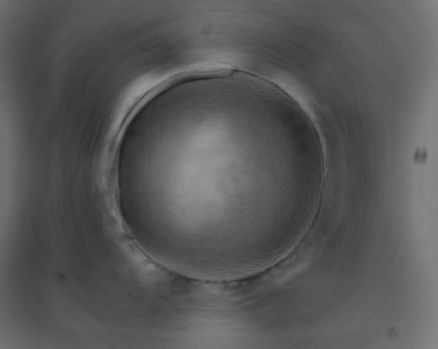 X0000094451104200711211513