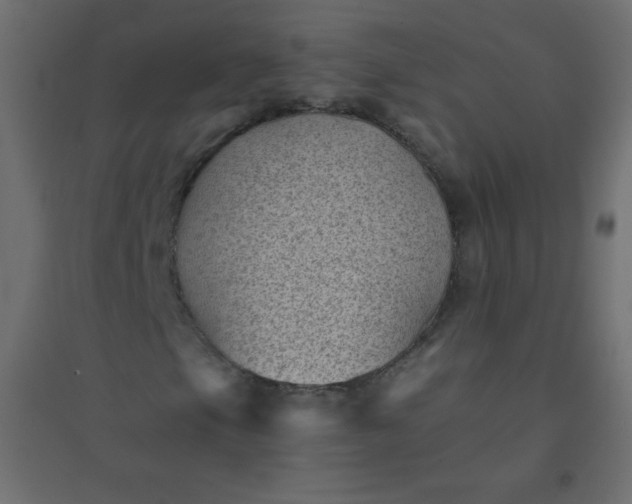 X0000094451105200711211512