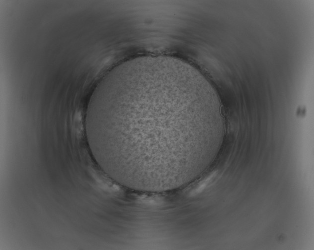 X0000094451106200711211512