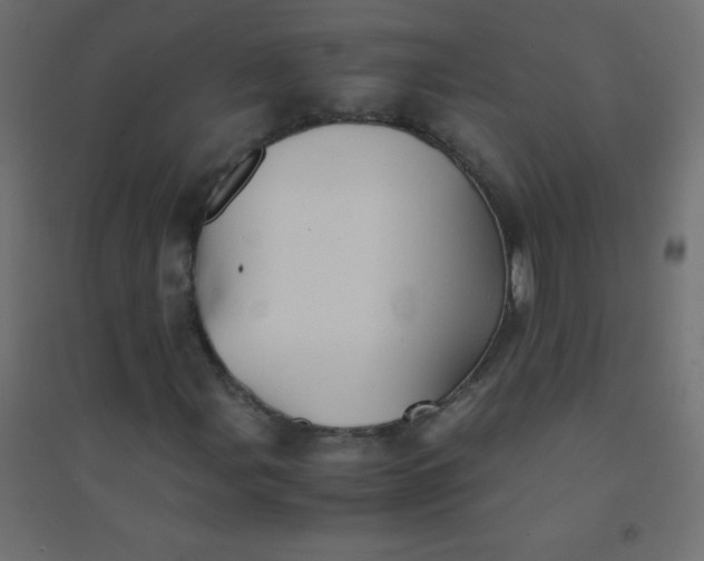 X0000094451107200711211512