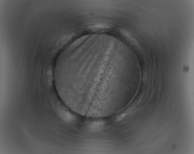 X0000094451108200711211512