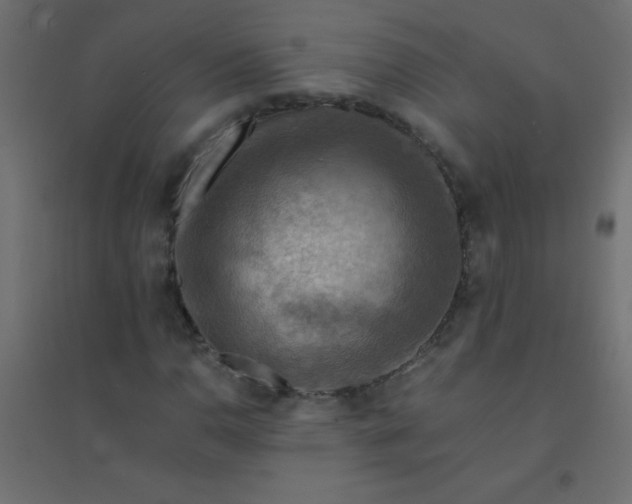 X0000094451110200711211512