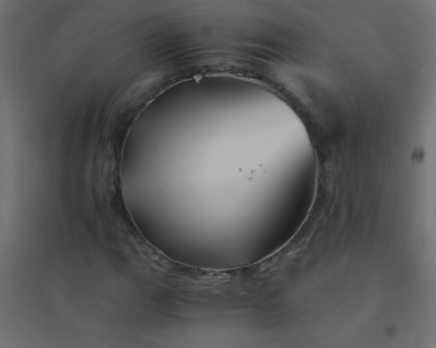 X0000094451111200711211512