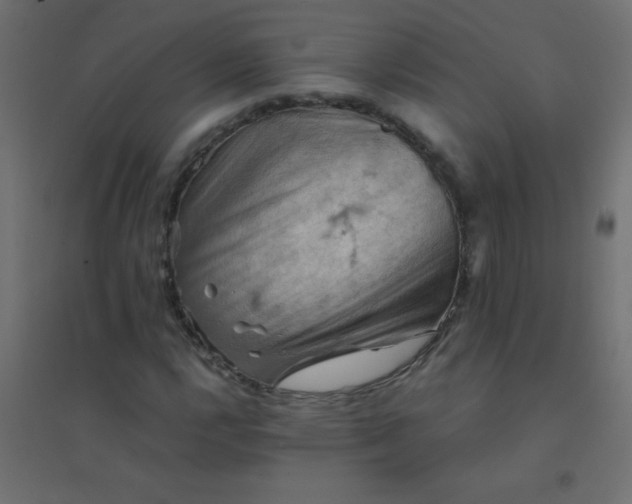 X0000094451112200711211512