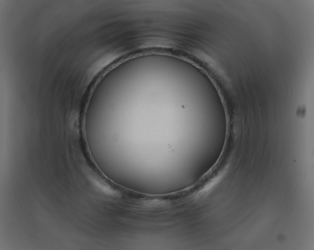 X0000094451113200711211512