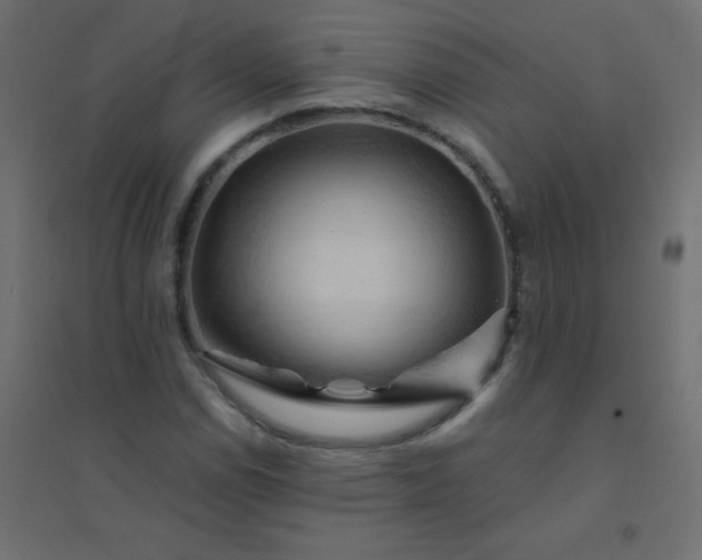 X0000094451114200711211512