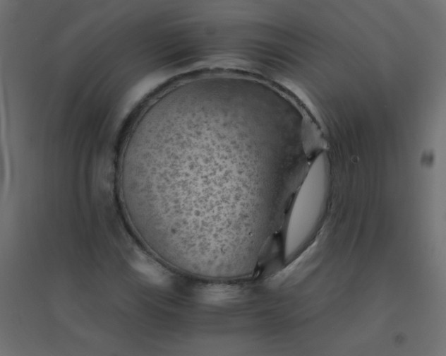 X0000094451115200711211512