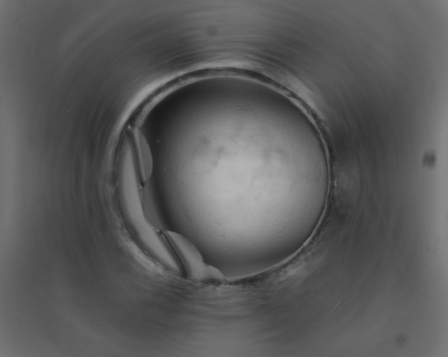 X0000094451116200711211512