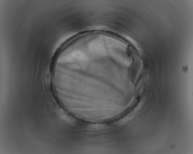 X0000094451117200711211512