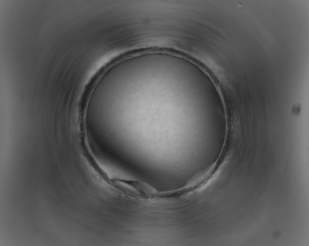 X0000094451118200711211512