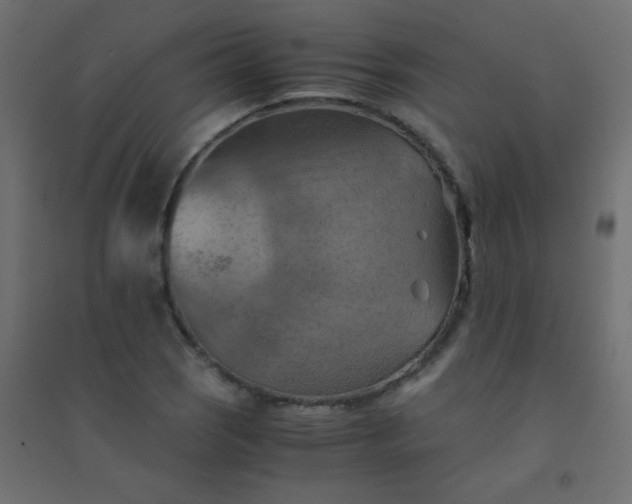 X0000094451121200711211512