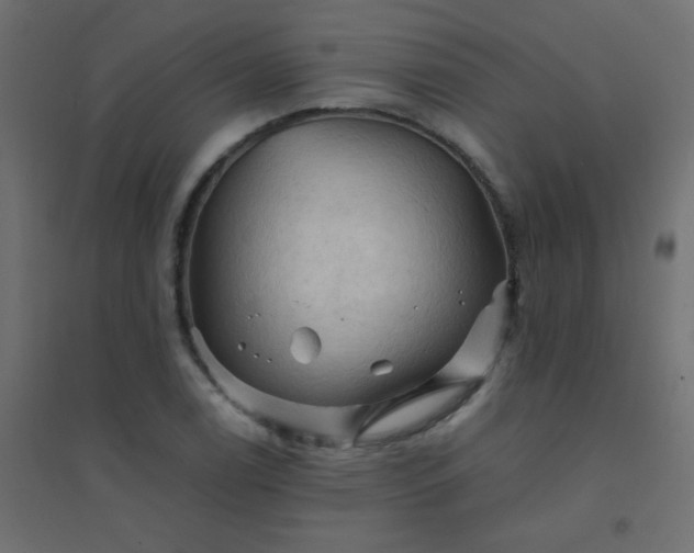 X0000094451122200711211512