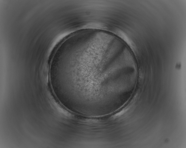 X0000094451123200711211512