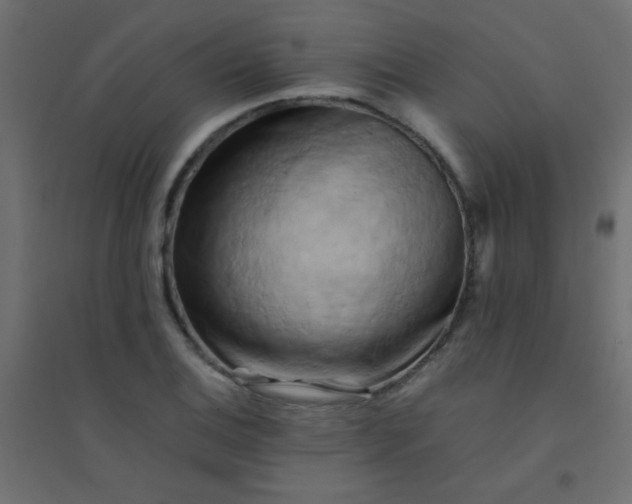 X0000094451124200711211512