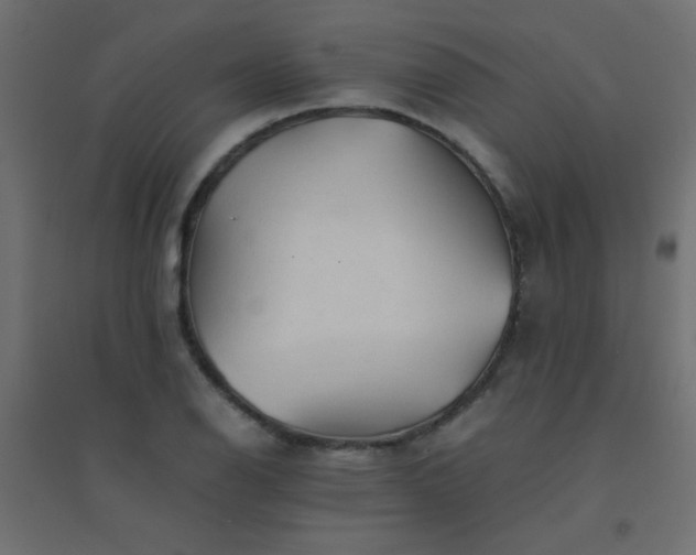 X0000094451126200711211512