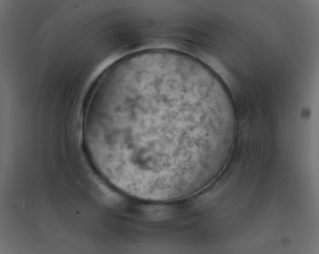 X0000094451127200711211512