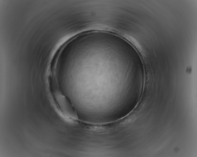 X0000094451128200711211512