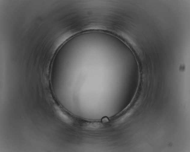 X0000094451129200711211512