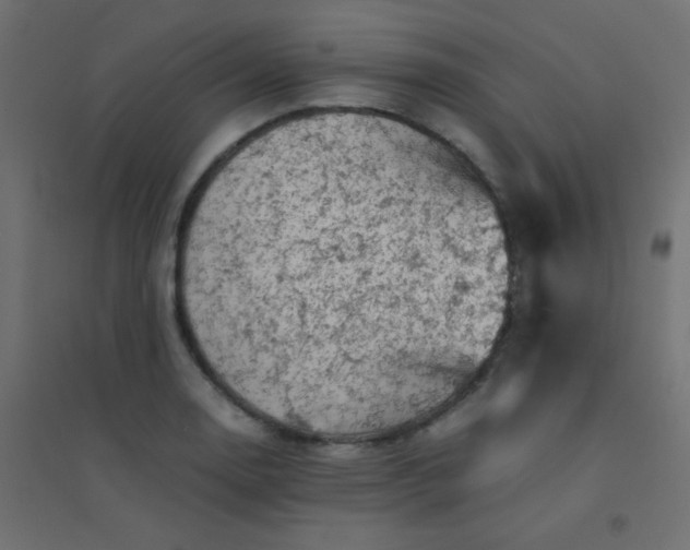 X0000094451130200711211512