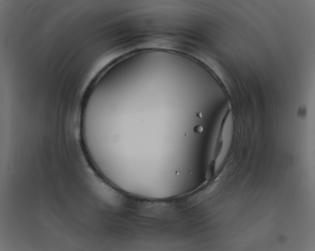 X0000094451131200711211512