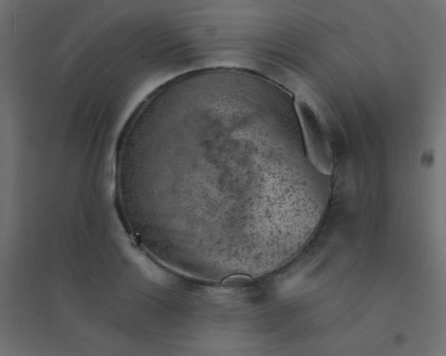 X0000094451132200711211513