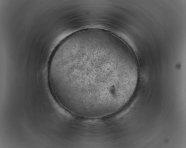 X0000094451133200711211513