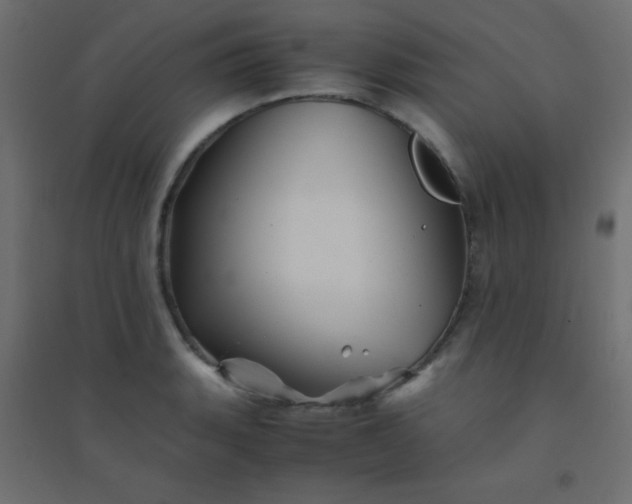 X0000094451135200711211513