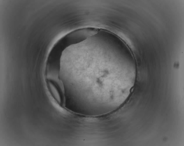 X0000094451136200711211513