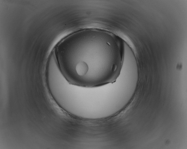 X0000094451138200711211513