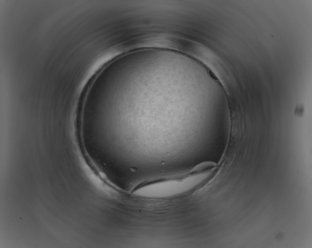 X0000094451139200711211513