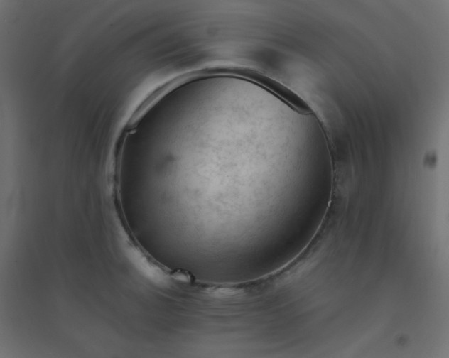 X0000094451140200711211513