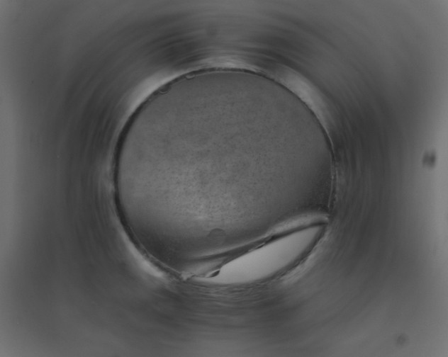 X0000094451141200711211513