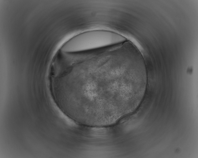 X0000094451142200711211513