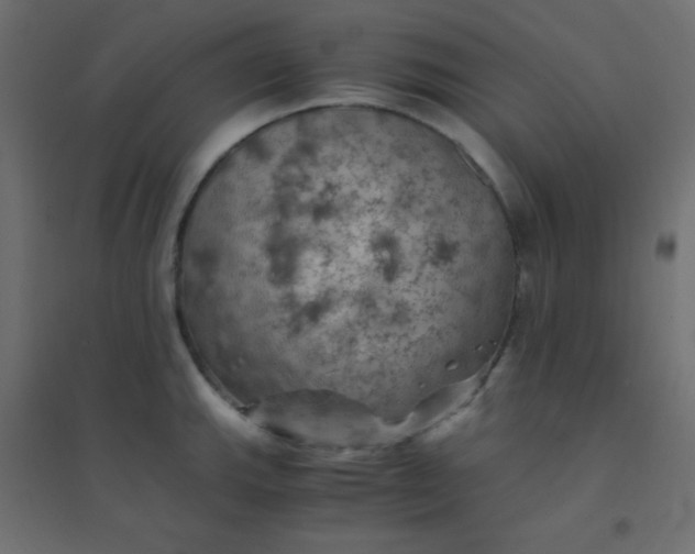 X0000094451143200711211513