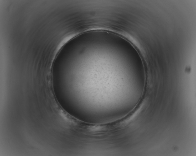 X0000094451145200711211513