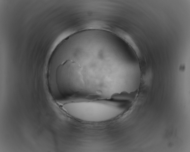 X0000094451146200711211513