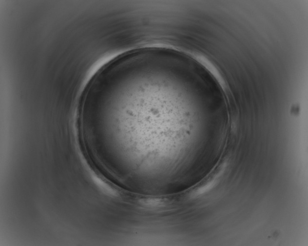 X0000094451149200711211513