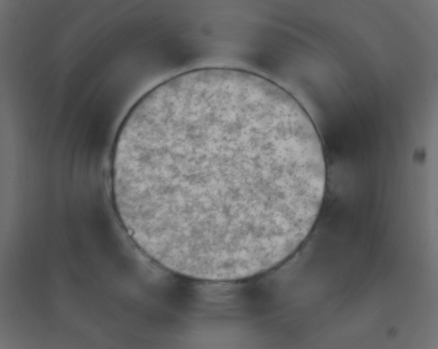 X0000094451150200711211513