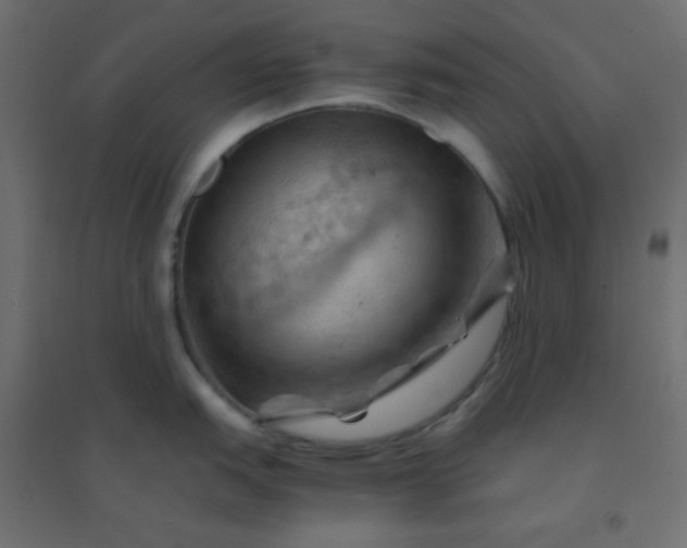 X0000094451151200711211513