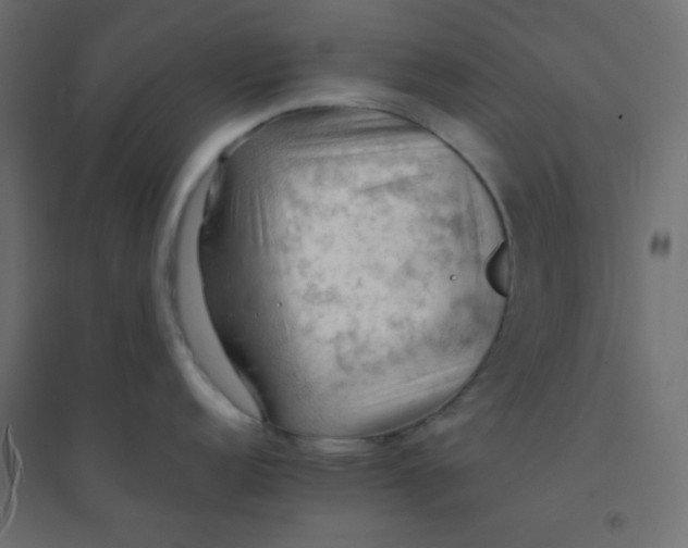 X0000094451152200711211513