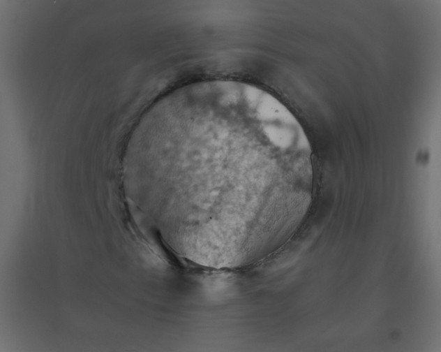 X0000094451153200711211512