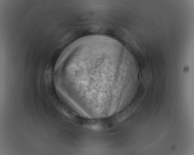 X0000094451154200711211512